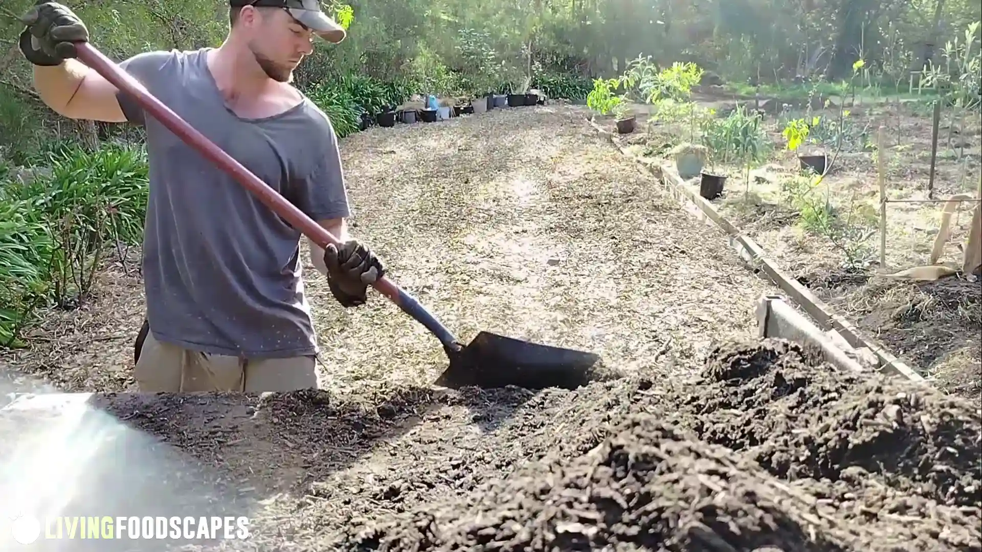How to Create a Permaculture Design - Image 3